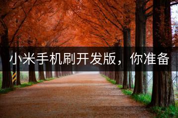 小米手机刷开发版，你准备好了吗？-千羽学社