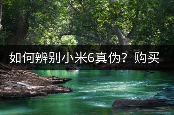 如何辨别小米6真伪？购买注意事项！-千羽学社
