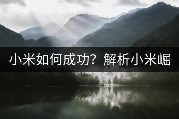 小米如何成功？解析小米崛起的关键因素！-千羽学社