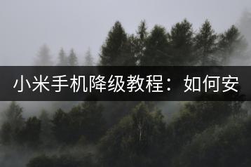 小米手机降级教程：如何安全降级系统版本？-千羽学社