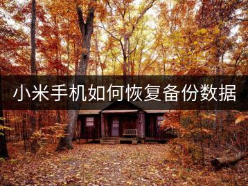 小米手机如何恢复备份数据？备份与恢复教程！-千羽学社