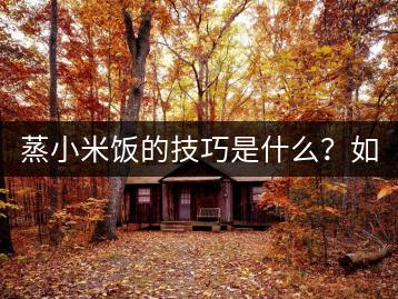 蒸小米饭的技巧是什么？如何做到颗粒饱满？-千羽学社