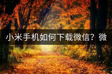 小米手机如何下载微信？微信下载与安装教程！-千羽学社