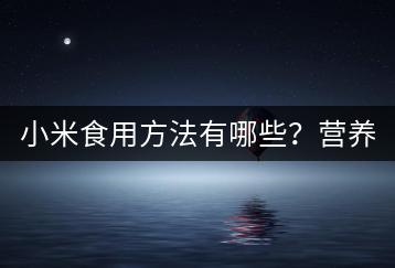 小米食用方法有哪些？营养健康的食用建议！-千羽学社