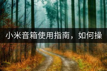 小米音箱使用指南，如何操作？-千羽学社