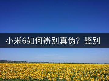 小米6如何辨别真伪？鉴别方法大揭秘！-千羽学社