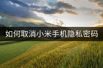 如何取消小米手机隐私密码，恢复正常使用？-千羽学社
