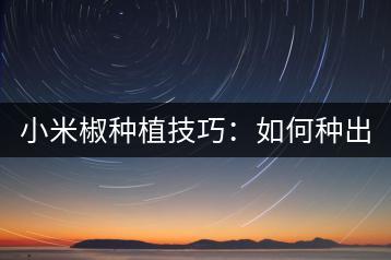 小米椒种植技巧：如何种出高品质的小米椒？-千羽学社
