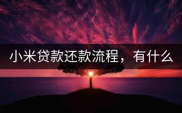小米贷款还款流程，有什么注意事项？-千羽学社