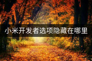 小米开发者选项隐藏在哪里？如何开启？-千羽学社