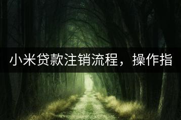 小米贷款注销流程，操作指南在此！-千羽学社