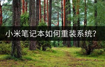 小米笔记本如何重装系统？一步一步教你！-千羽学社