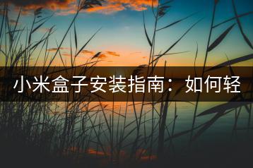 小米盒子安装指南：如何轻松安装应用与游戏？-千羽学社