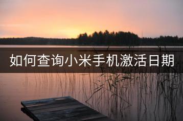 如何查询小米手机激活日期？-千羽学社