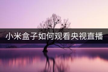 小米盒子如何观看央视直播？直播观看教程。-千羽学社