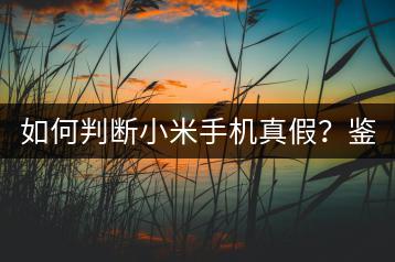 如何判断小米手机真假？鉴别方法！-千羽学社