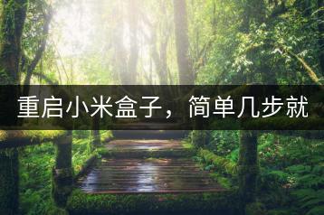 重启小米盒子，简单几步就能搞定？-千羽学社