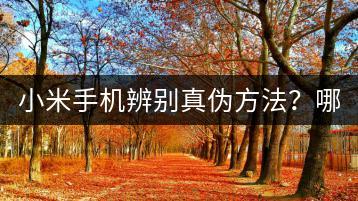 小米手机辨别真伪方法？哪里查询真伪最可靠？-千羽学社