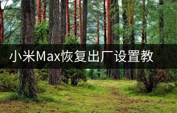小米Max恢复出厂设置教程，恢复手机原始状态。-千羽学社
