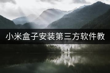 小米盒子安装第三方软件教程，轻松扩展功能。-千羽学社