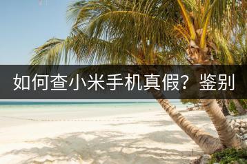 如何查小米手机真假？鉴别技巧！-千羽学社