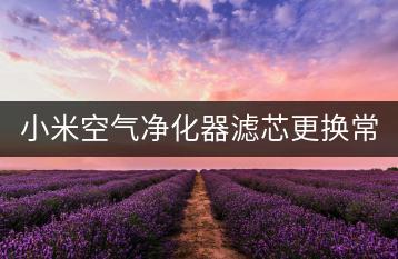 小米空气净化器滤芯更换常见问题，如何解决？-千羽学社