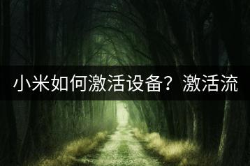 小米如何激活设备？激活流程介绍。-千羽学社