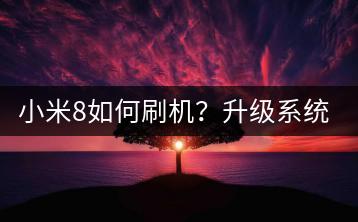 小米8如何刷机？升级系统指南。-千羽学社