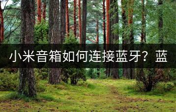 小米音箱如何连接蓝牙？蓝牙连接教程与技巧！-千羽学社