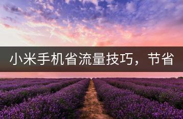 小米手机省流量技巧，节省网络使用。-千羽学社
