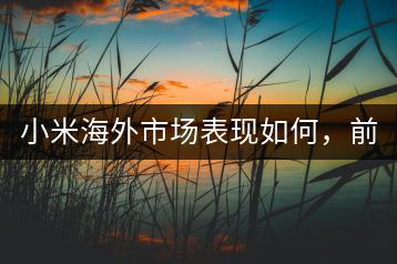 小米海外市场表现如何，前景分析！-千羽学社