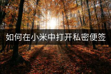 如何在小米中打开私密便签功能？-千羽学社