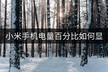 小米手机电量百分比如何显示？设置教程一览。-千羽学社