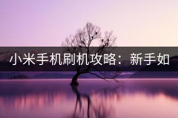 小米手机刷机攻略：新手如何操作？-千羽学社