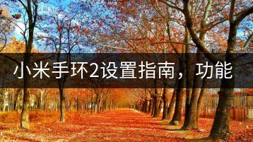 小米手环2设置指南，功能使用全解析！-千羽学社