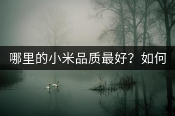 哪里的小米品质最好？如何挑选优质小米？-千羽学社