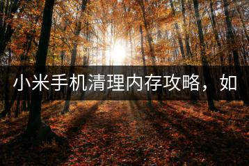 小米手机清理内存攻略，如何快速清理？-千羽学社