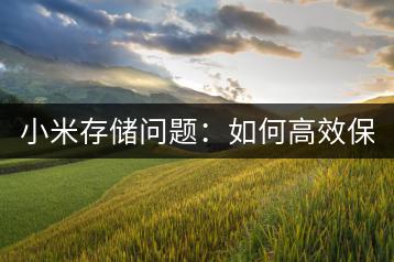 小米存储问题：如何高效保存资料？-千羽学社