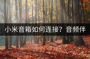 小米音箱如何连接？音频伴侣，一键连接。-千羽学社