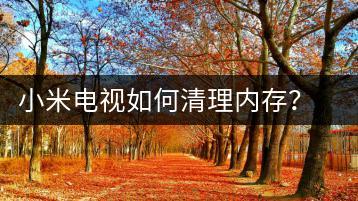 小米电视如何清理内存？内存清理指南-千羽学社