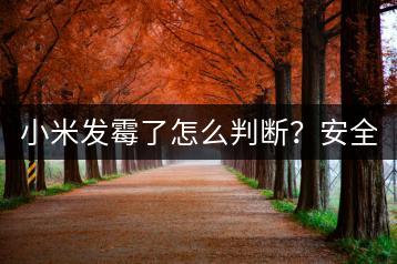 小米发霉了怎么判断？安全食用指南。-千羽学社