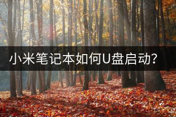 小米笔记本如何U盘启动？启动教程及常见问题解答-千羽学社