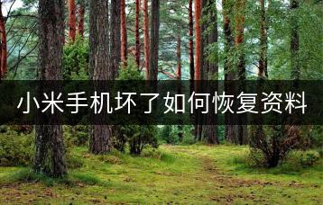小米手机坏了如何恢复资料？资料拯救攻略。-千羽学社