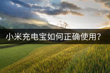 小米充电宝如何正确使用？使用方法介绍。-千羽学社