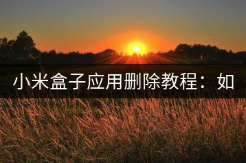 小米盒子应用删除教程：如何操作？-千羽学社