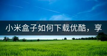 小米盒子如何下载优酷，享受影视盛宴？-千羽学社