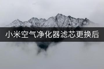 小米空气净化器滤芯更换后，如何提高净化效果？-千羽学社