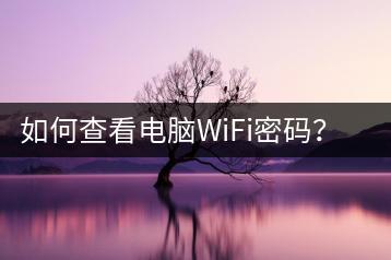 如何查看电脑WiFi密码？实用技巧-千羽学社