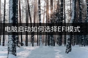 电脑启动如何选择EFI模式？EFI设置教程-千羽学社