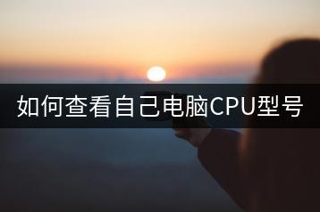 如何查看自己电脑CPU型号？CPU型号查询方法-千羽学社